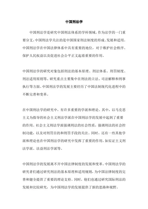 中国刑法学