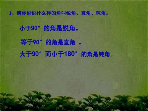人教版《三角形的分类》完美版课件7(共27张PPT)
