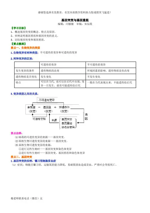 基因突变与基因重组 知识讲解