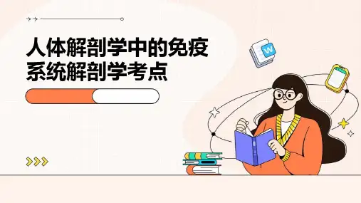 人体解剖学中的免疫系统解剖学考点