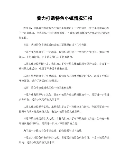 着力打造特色小镇情况汇报