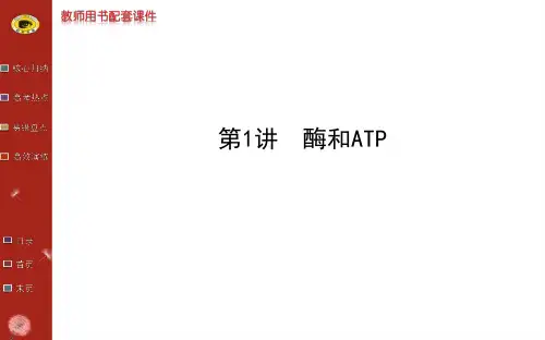广西生物高考专题二轮课件专题二第1讲酶和ATP