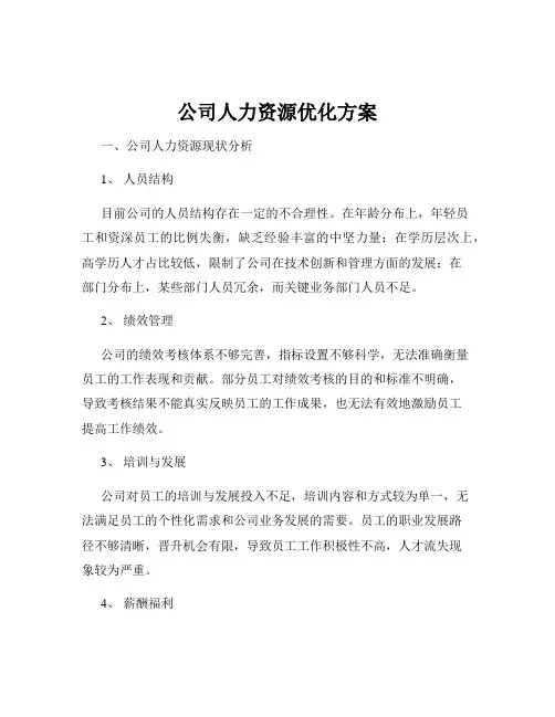 公司人力资源优化方案