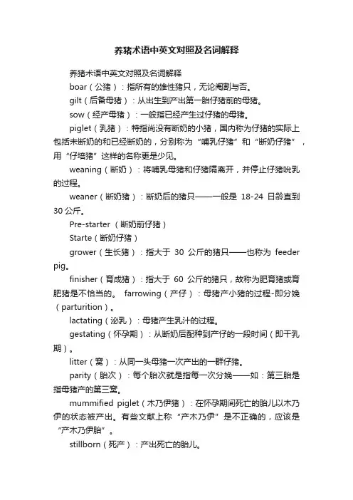 养猪术语中英文对照及名词解释