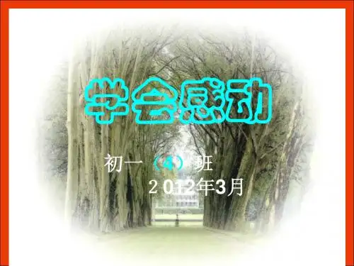 学会感动  初一(4)班主题班会