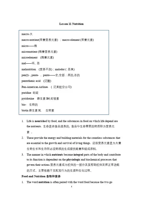 食品专业英语 lesson 11