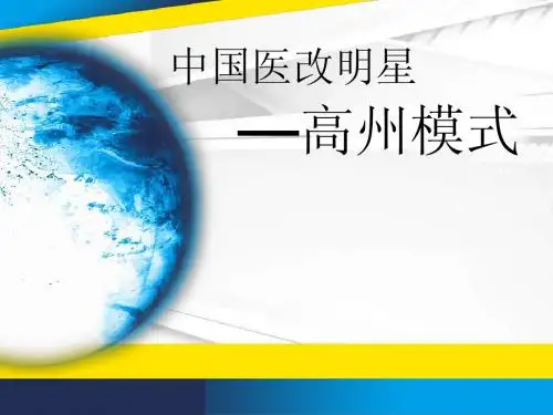 高州模式