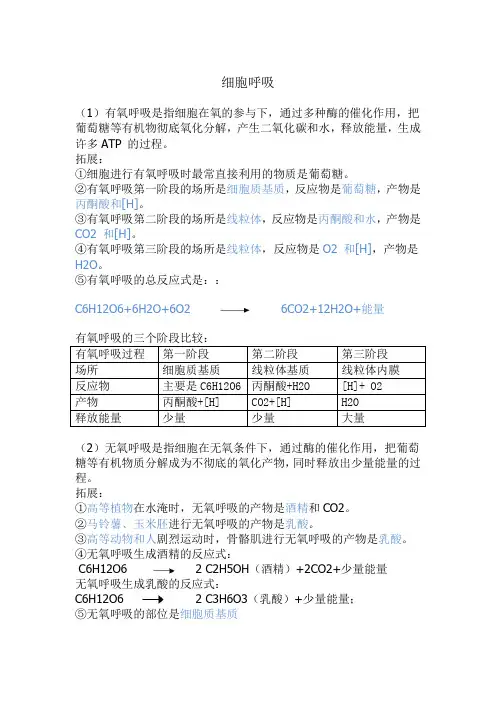 呼吸作用(高中生物)