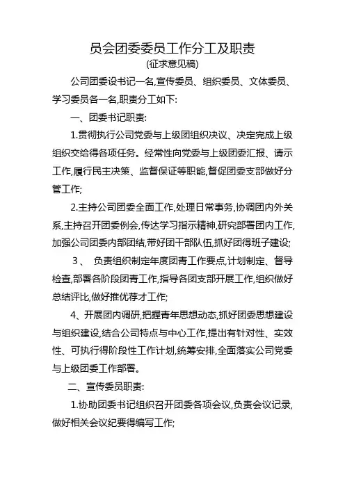 团委委员分工及职责