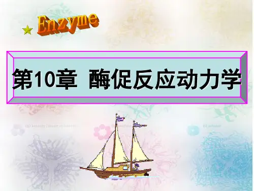 第10章酶促反应动力学