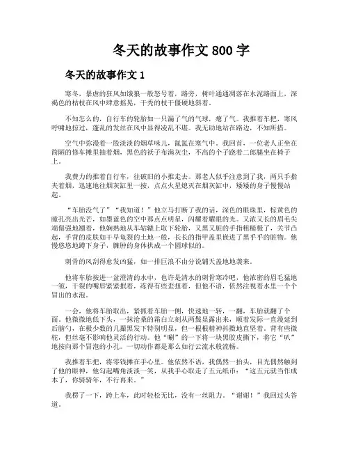 冬天的故事作文800字