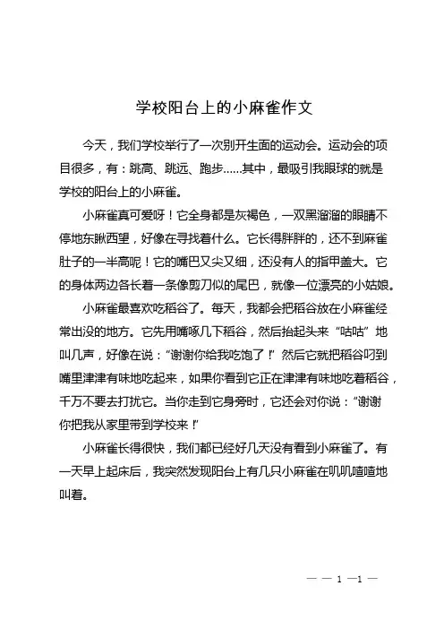 学校阳台上的小麻雀作文