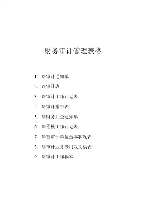 财务审计管理表格(9个表格)