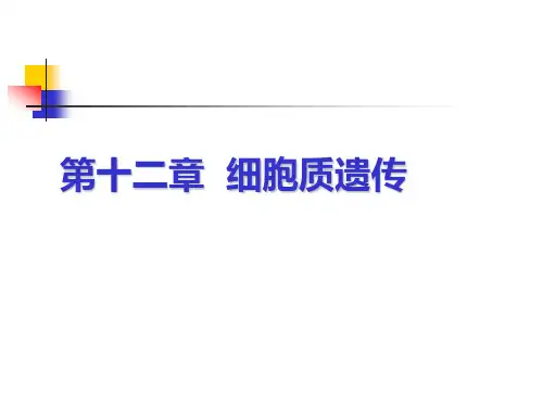 细胞质遗传
