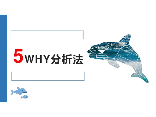 5Why分析法