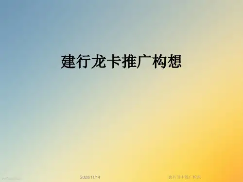 建行龙卡推广构想