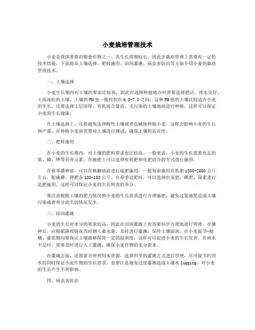 小麦栽培管理技术