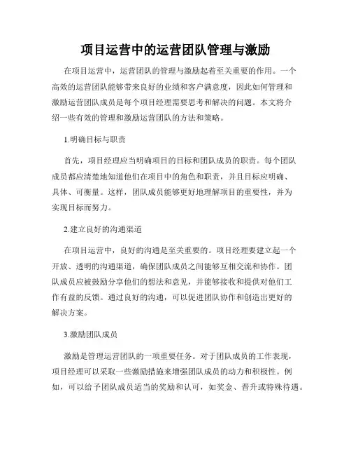 项目运营中的运营团队管理与激励