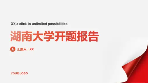 湖南大学开题报告