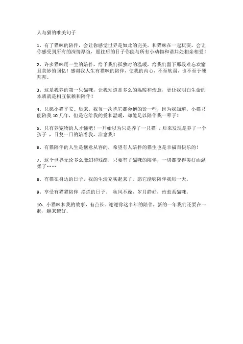 人与猫的唯美句子