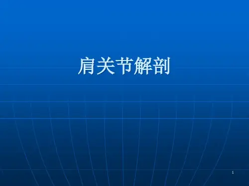 肩关节应用解剖精品PPT课件