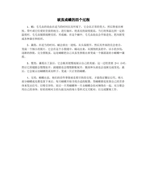 破茧成蝶的四个过程