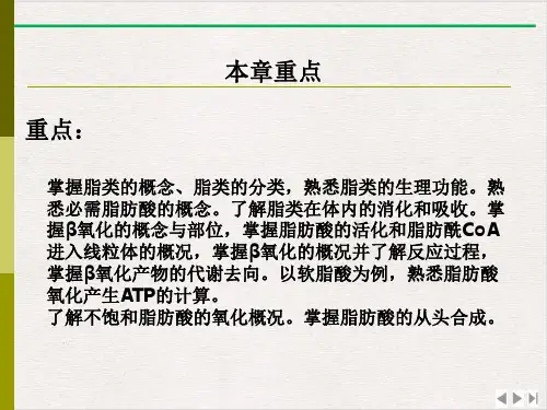 生物化学脂类的代谢ppt优质版