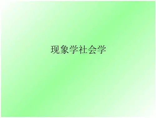 [社会学]现象学社会学