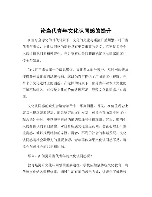 论当代青年文化认同感的提升