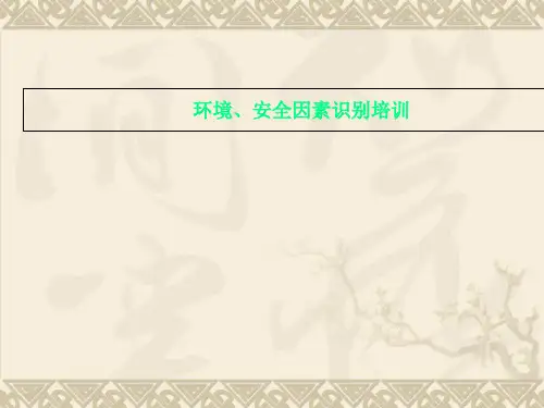 环境、安全因素识别培训