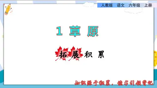 〖优质〗部编人教版小学六年级语文上册《草原》拓展积累精品课件
