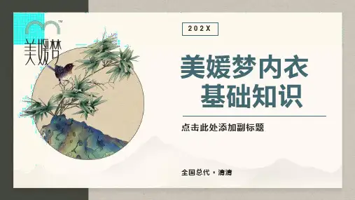 无钢圈内衣产品基础知识