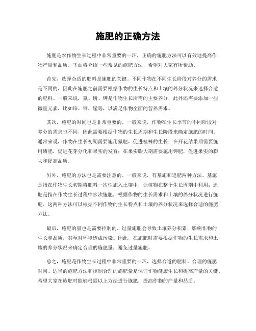 施肥的正确方法