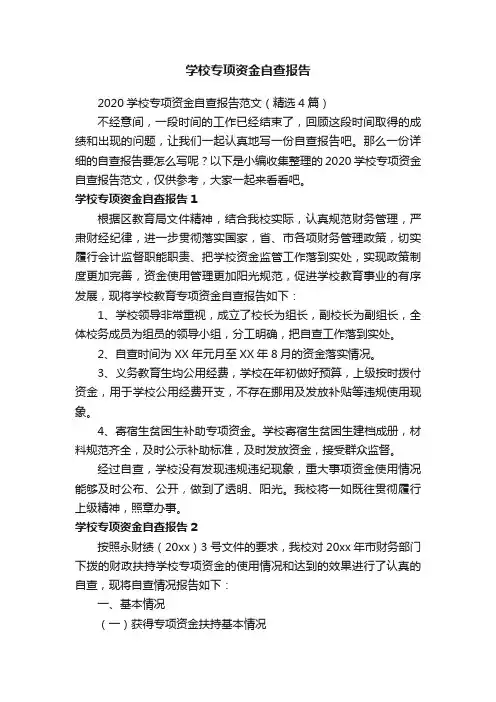 2020学校专项资金自查报告范文（精选4篇）