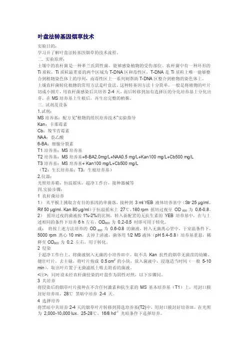 叶盘法转基因烟草技术