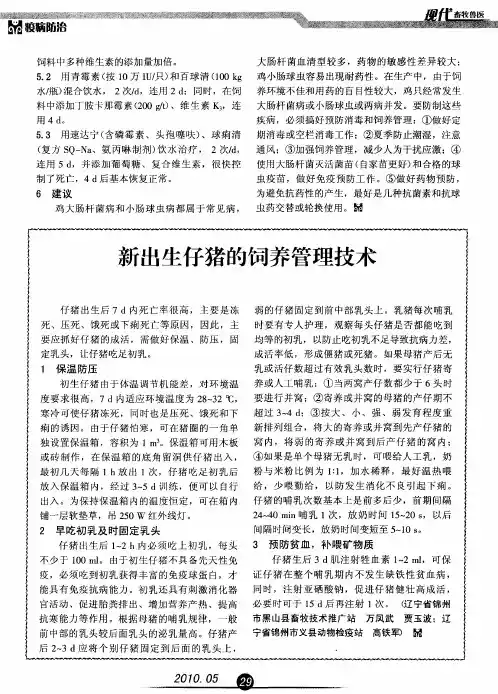 新出生仔猪的饲养管理技术