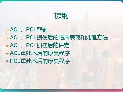 AClPCL重建术后的康复程序课件