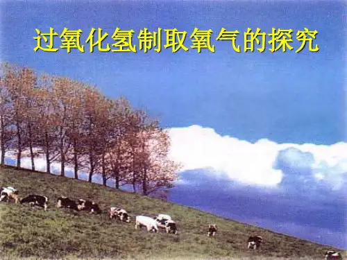 沪教版化学九年《性质活泼的氧气》(过氧化氢制氧气)