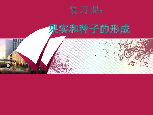 果实的形成种子的结构课件
