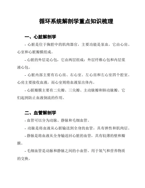 循环系统解剖学重点知识梳理