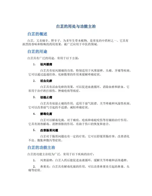 白芷的用处与功能主治