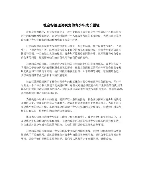 社会标签理论视角的青少年成长困境