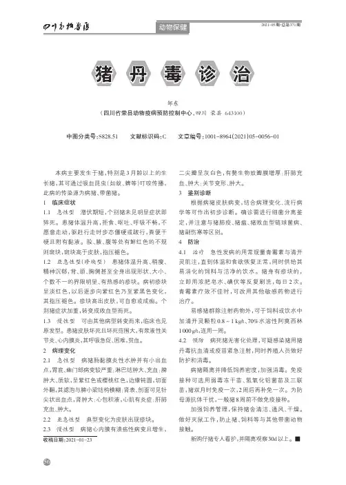 猪丹毒诊治