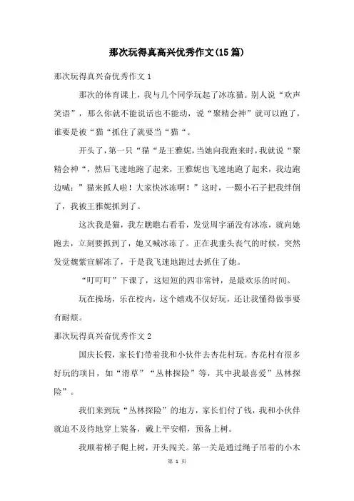 那次玩得真高兴优秀作文(15篇)