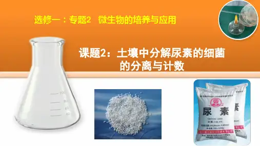 2.2 土壤中分解尿素的细菌的分离和计数