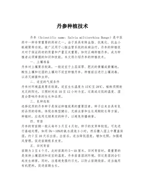 丹参种植技术