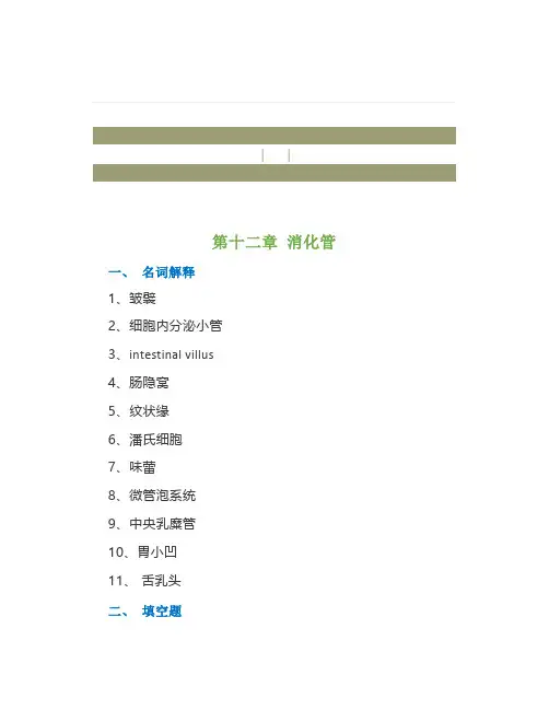 《组织学与胚胎学》试题：消化管