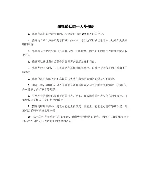 猫咪说话的十大冷知识