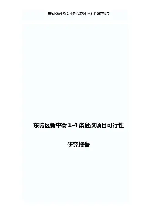东城区新中街1-4条危改项目可行性研究报告