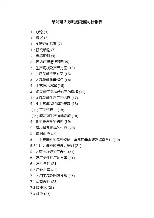 某公司3万吨泡花碱可研报告